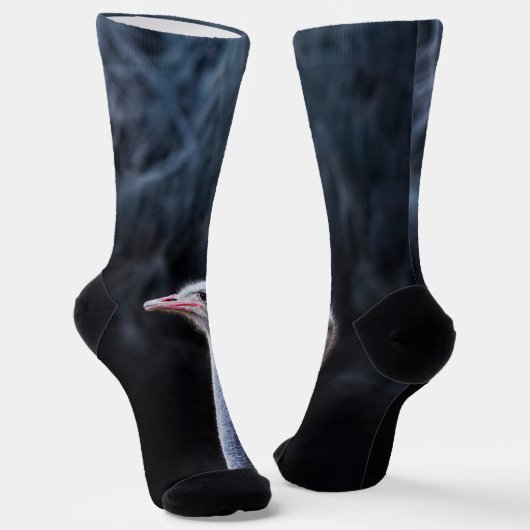 Chaussette portrait d'autruche (Angulaire)