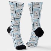 Chaussette Portrait de chat blanc Peinture originale mignonne (Angulaire)