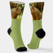 Chaussette Portrait d'un écureuil (Angulaire)