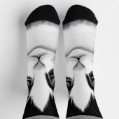 Chaussette Poster de peinture de chats Tuxedo (Haut)