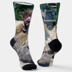 Chaussette Poulet moche, Chaussettes d'équipage