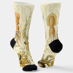 Chaussette Poulpe Vintage Squid Gamochonia par Ernst Haeckel