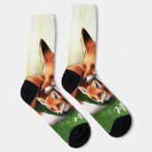 Chaussette Renard rouge Mère et Kits dans l'herbe (Droite)