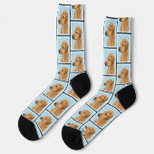 Chaussette Rhodesian Ridgeback Peinture Red Wheaten Chien Art (Gauche)