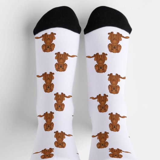 Chaussette Ruby Cavalier King Charles Spaniel Chien Motif (Haut)