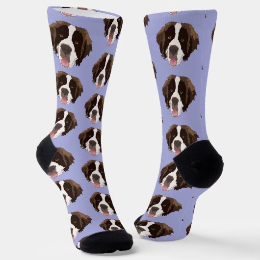 Chaussette Saint Bernard (Angulaire)
