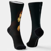 Chaussette Saint François de Paule (Angulaire)