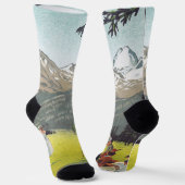 Chaussette Saint Moritz par Emil Cardinaux (Angulaire)