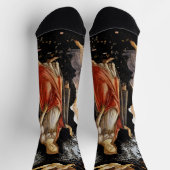 Chaussette Sandro Botticelli - La Primavera (Haut)