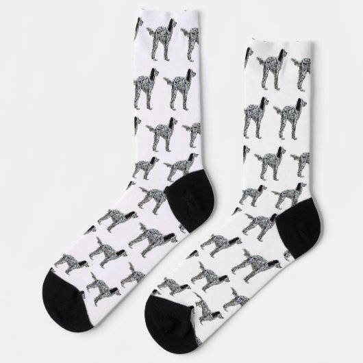 Chaussette Setter de Llewellin (Gauche)