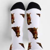 Chaussette Sheltie occidental (Haut)