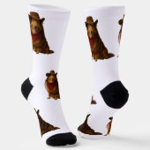 Chaussette Sheltie occidental (Angulaire)