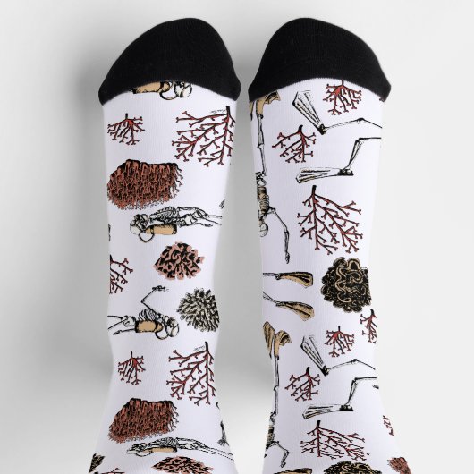 Chaussette Skeleton Scuba Divers & Corail (Haut)