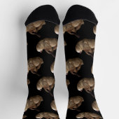 Chaussette Sloth (Haut)