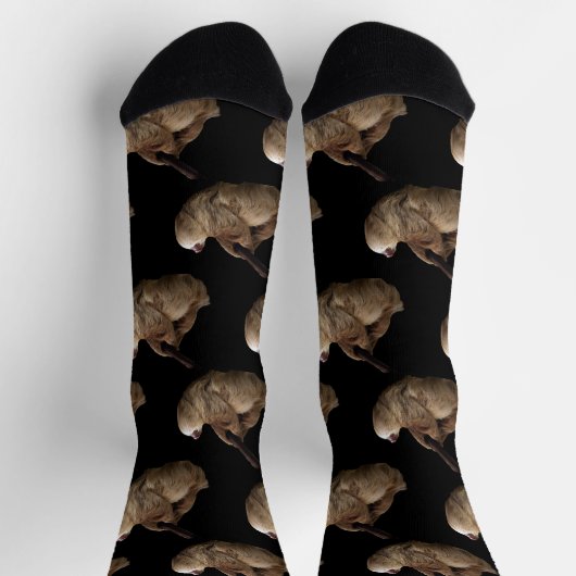 Chaussette Sloth (Haut)