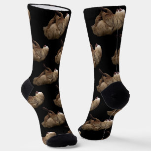 Chaussette Sloth
