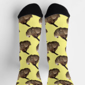 Chaussette Sloth (Haut)