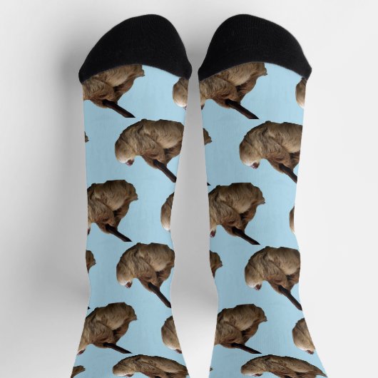 Chaussette Sloth (Haut)