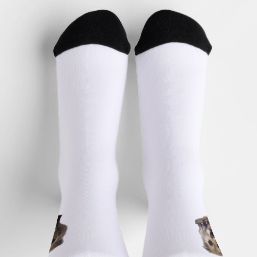 CHAUSSETTE SNICKERS SOCKS (Haut)