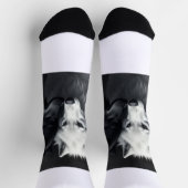 Chaussette Socks  (Haut)