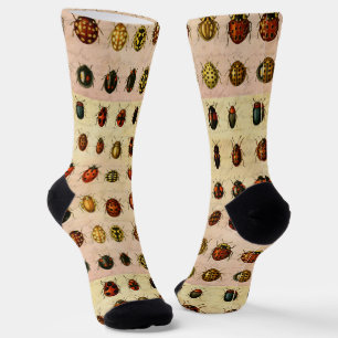 Chaussette Spécimen de coccinelle vintage Motif Insecte antiq