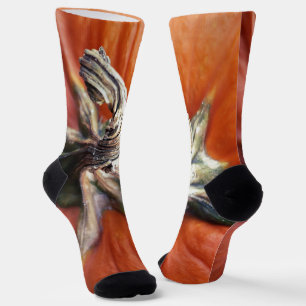Chaussette Spiral citrouille