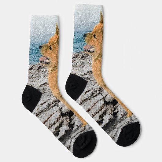 Chaussette Spitz finlandais à Seashore Peinture - Chien Art (Droite)
