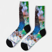 Chaussette Steller's Jay - Photographie originale (Gauche)