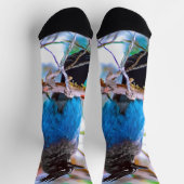 Chaussette Steller's Jay - Photographie originale (Haut)