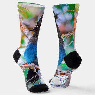 Chaussette Steller's Jay - Photographie originale