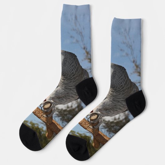 Chaussette Superbe perroquet gris africain (Gauche)