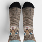 Chaussette Tabby Gris Peinture Chat - Cute Original Art Chat (Haut)