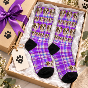 Chaussette Tartan à carreaux de lavande violette Photo de com