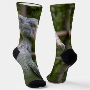 Chaussette Taupe (Balaeniceps rex)