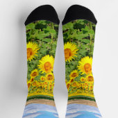 Chaussette Terrain de tournesol (Haut)