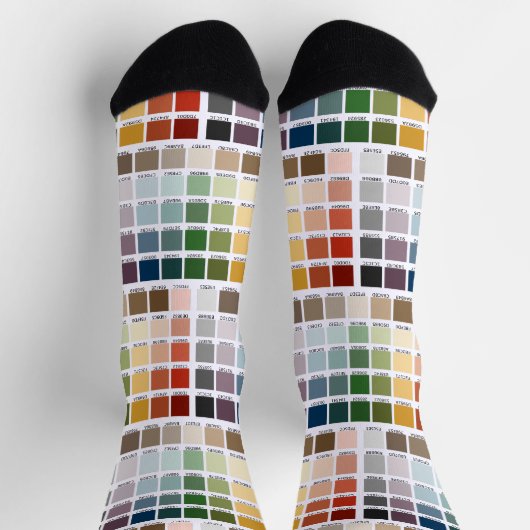 Chaussette Test de couleur (Haut)