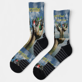 Chaussette The Unlikely Hero: Witness the "Frog That Carries 