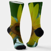 Chaussette Tournesol (Angulaire)
