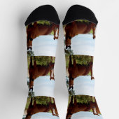 Chaussette Trio De Chevaux Doux, Chaussettes D'Équipage (Haut)