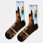 Chaussette Tulip Le Cheval Brown, Chaussettes D'Équipage (Gauche)