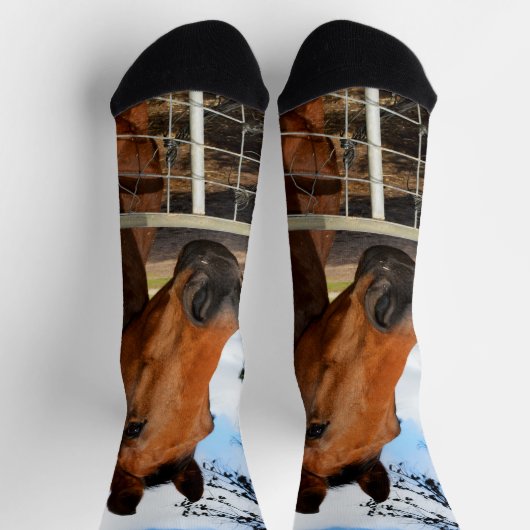 Chaussette Tulip Le Cheval Brown, Chaussettes D'Équipage (Haut)