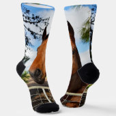 Chaussette Tulip Le Cheval Brown, Chaussettes D'Équipage (Angulaire)
