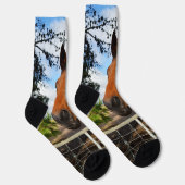 Chaussette Tulip Le Cheval Brown, Chaussettes D'Équipage (Droite)