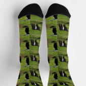 Chaussette Vaches de galloway ceinturées, Chaussettes d'équip (Haut)