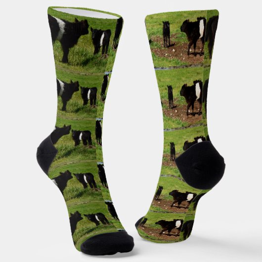 Chaussette Vaches de galloway ceinturées, Chaussettes d'équip (Angulaire)