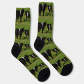Chaussette Vaches de galloway ceinturées, Chaussettes d'équip (Droite)