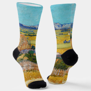 Chaussette Vincent van Gogh - Moisson à La Crau