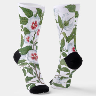 Chaussette Vintage Hibiscus Flowers by Basilius Besler
