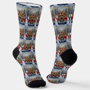 Chaussette Vizsla camion rouge de Noël vacances