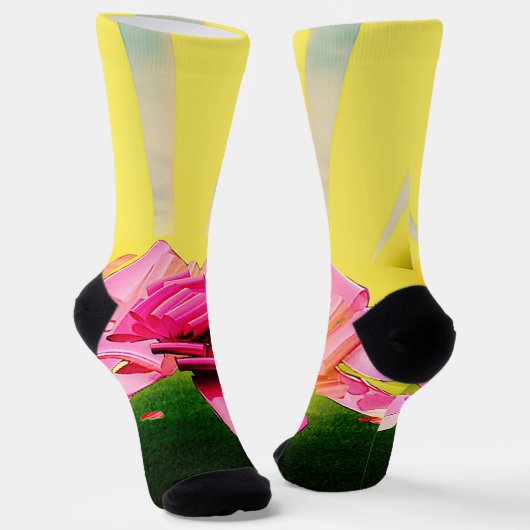 CHAUSSETTE VOYEZ COMMENT ÇA SE SENT ! (Angulaire)